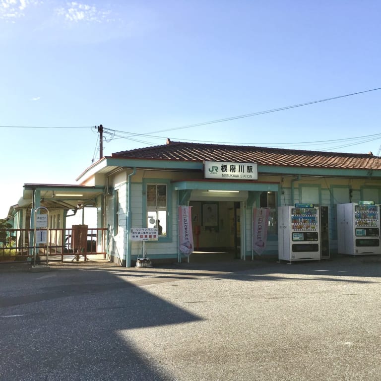 根府川おかめ桜まつり2020