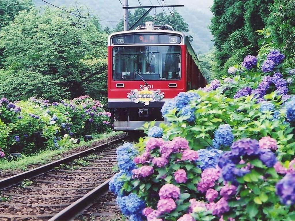 2020年箱根登山鉄道再開