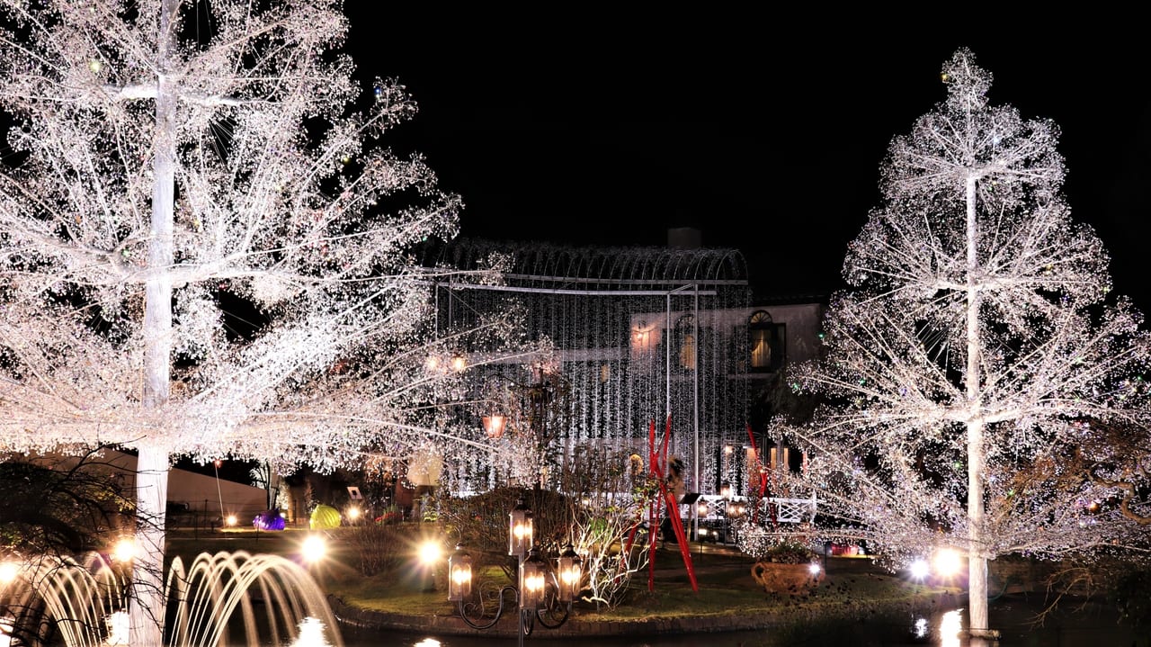 箱根町】クリスマスツリーからラブツリーへ！虹色に輝くクリスタル