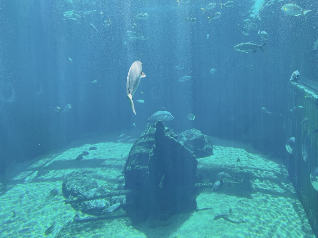 箱根園水族館