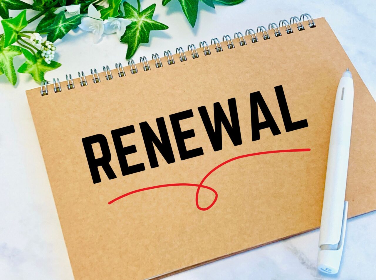 RENEWAL