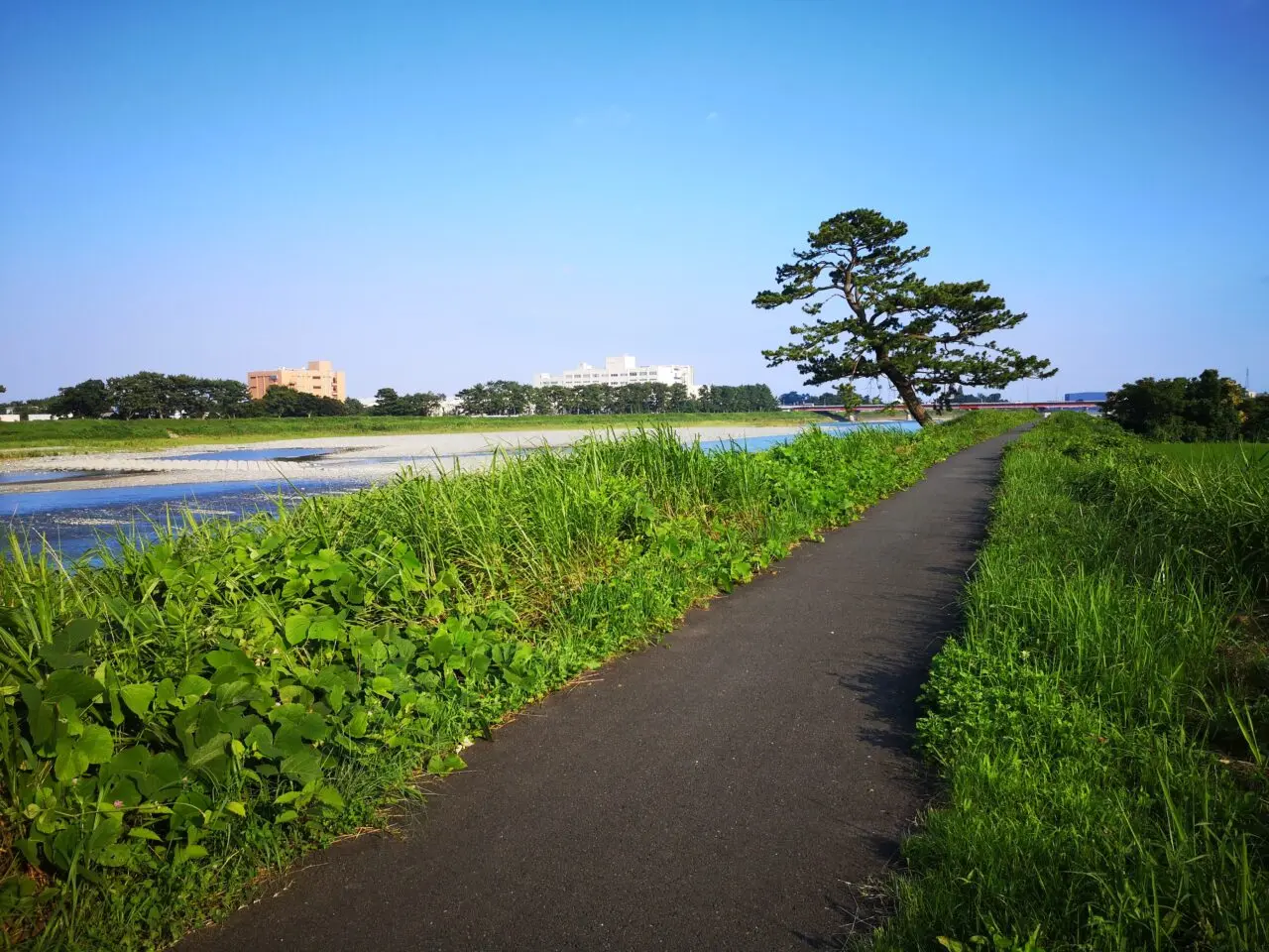 酒匂川