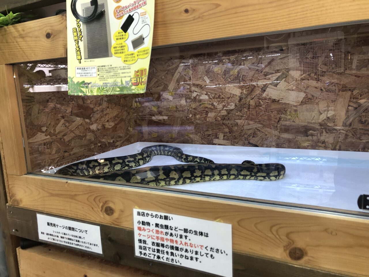 ペットショップJaRep