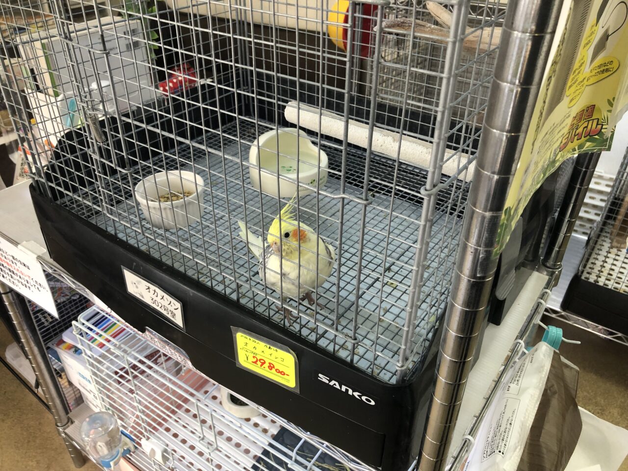 ペットショップJaRep