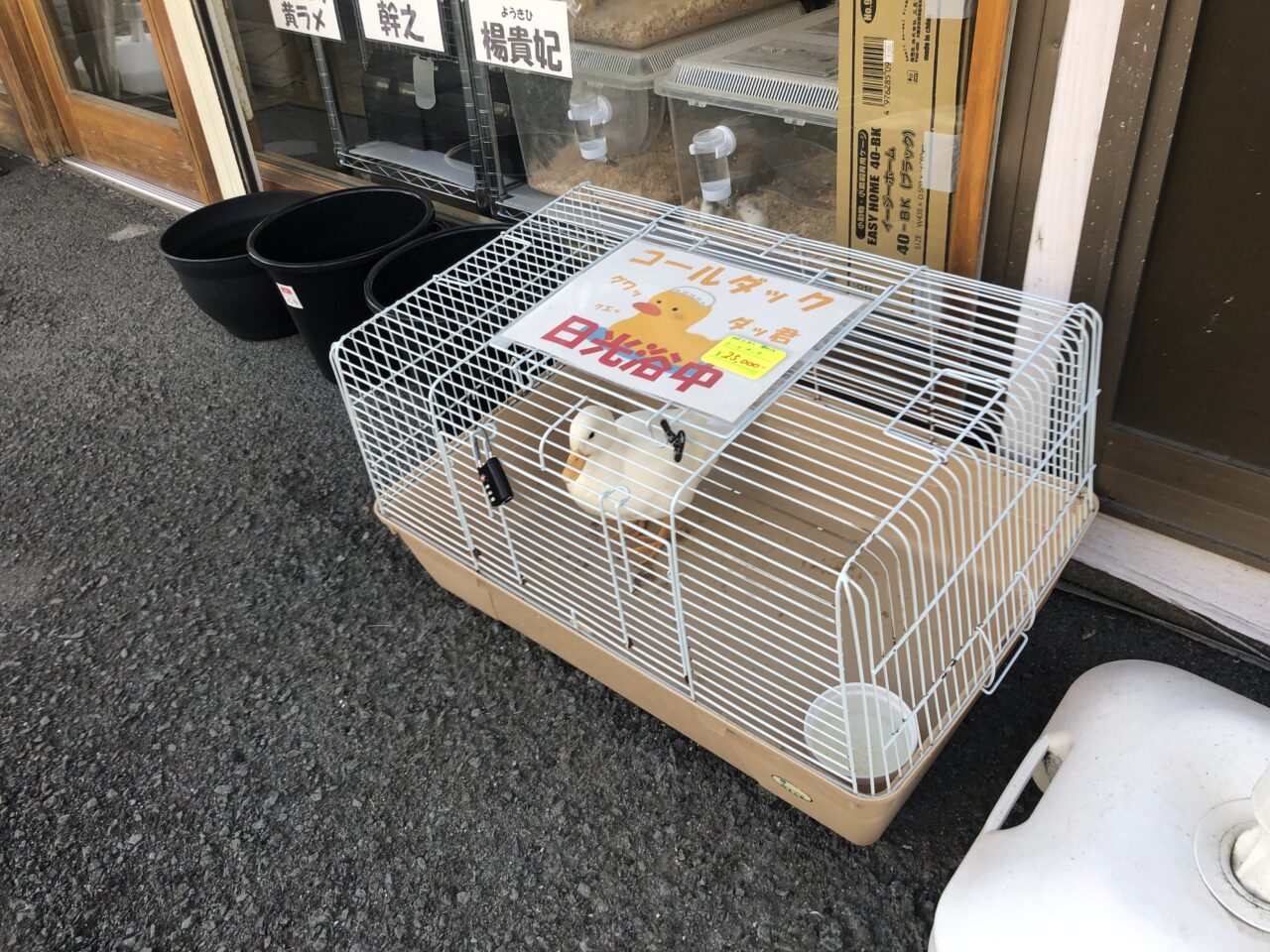 ペットショップJaRep