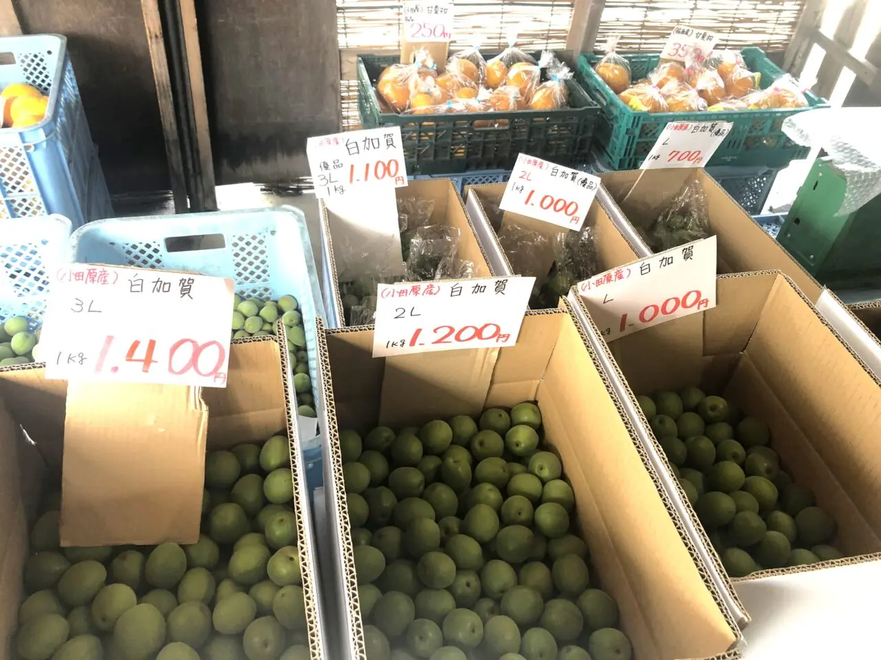 長一商店