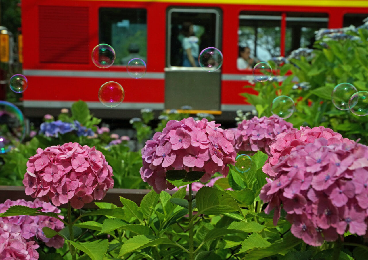 箱根登山電車