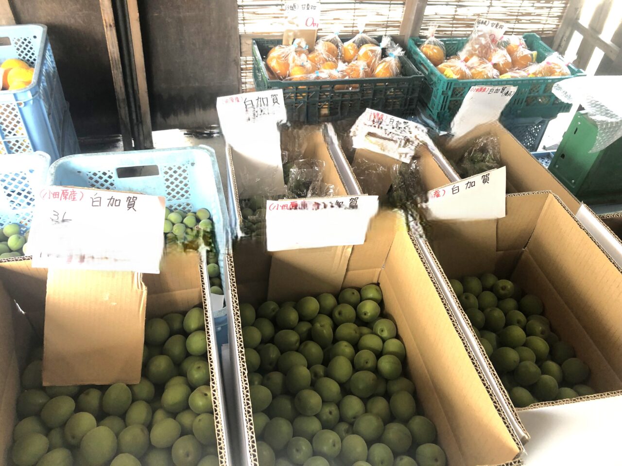 長一商店