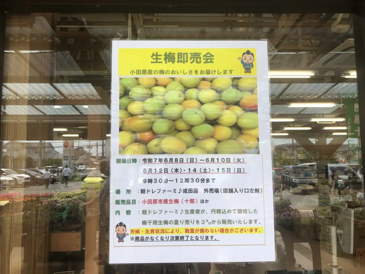 生梅即売会