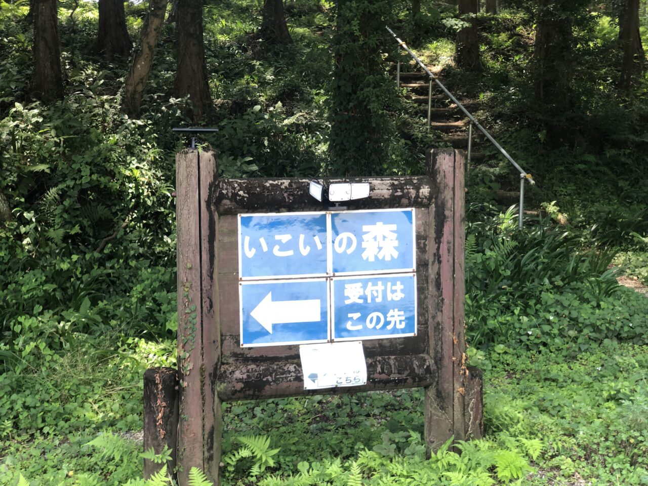 YURAGI