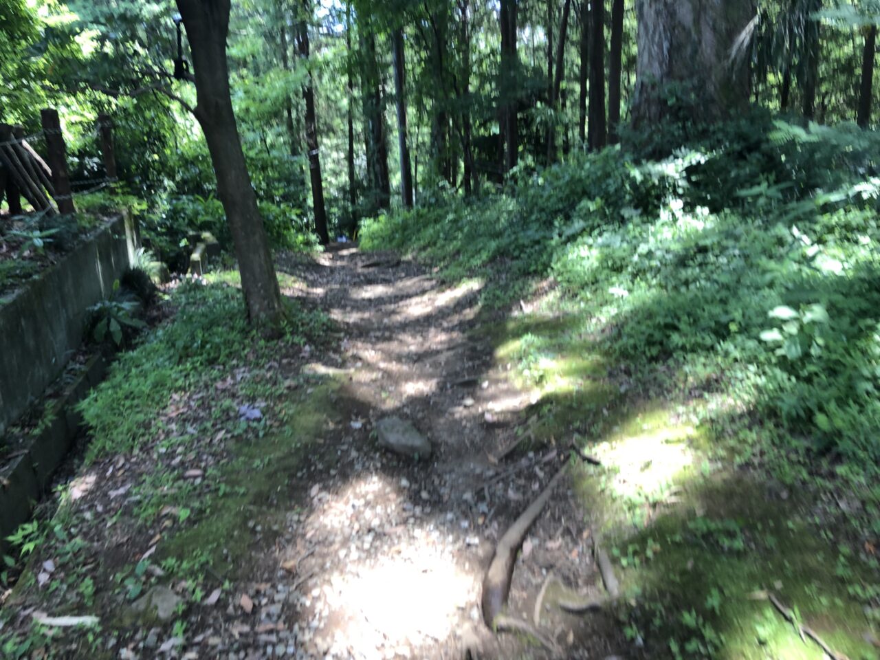 YURAGI