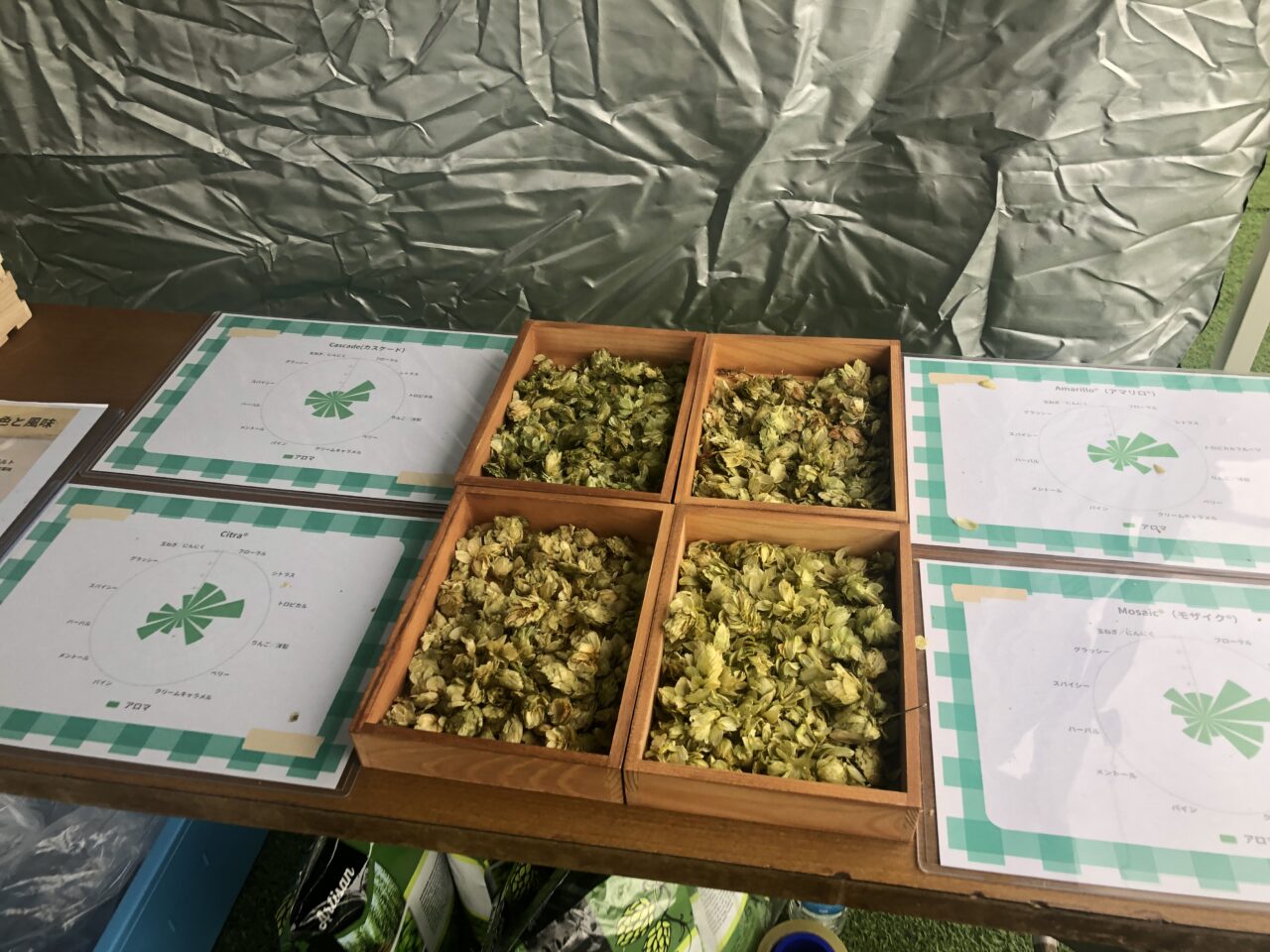 第4回小田原クラフトビール祭り