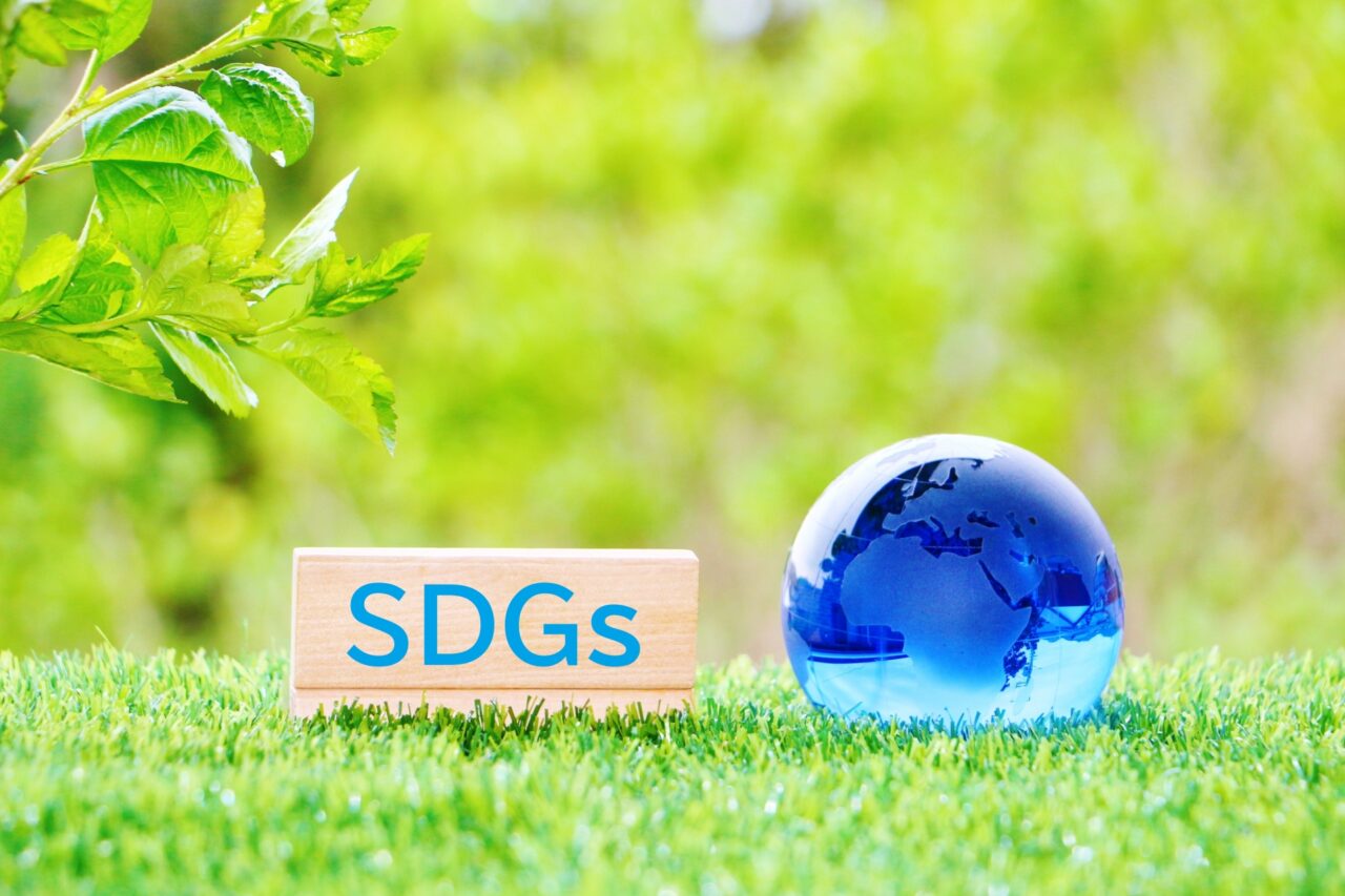 SDGs