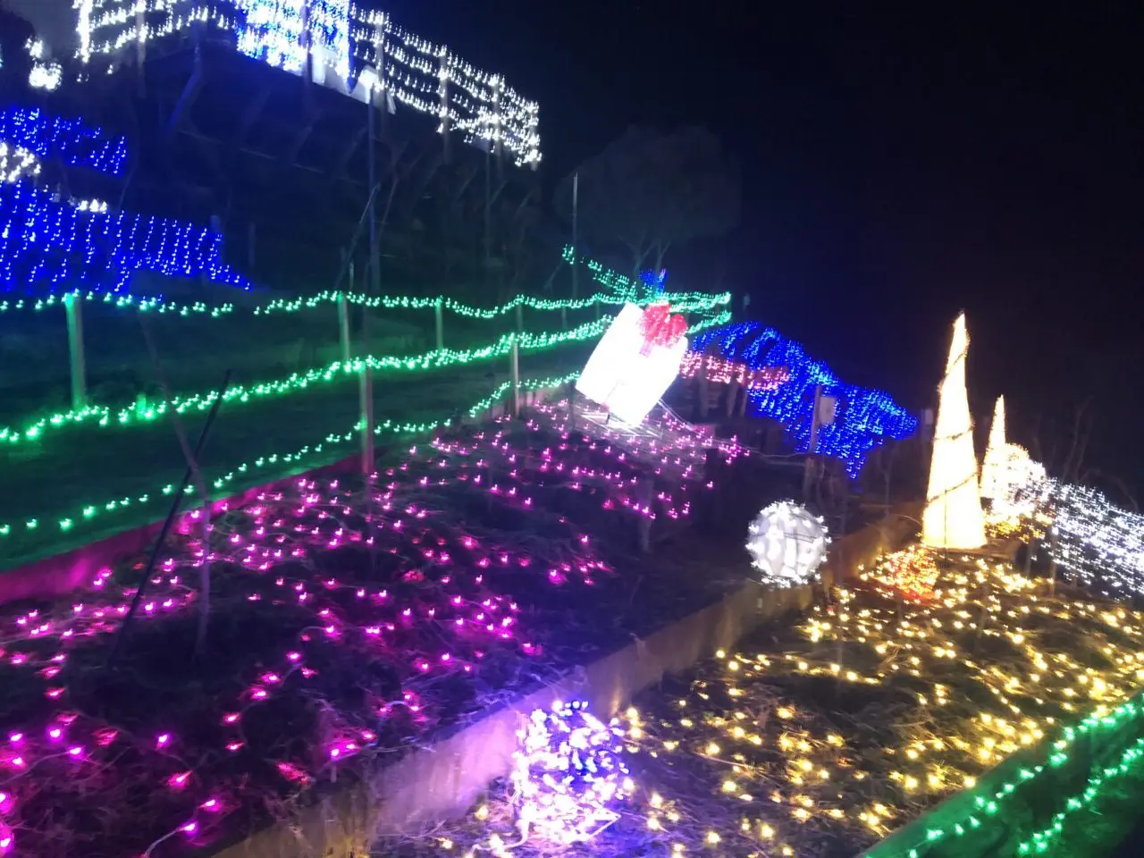 きらきらフェスタ