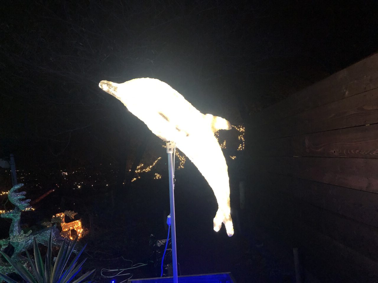 きらきらフェスタ