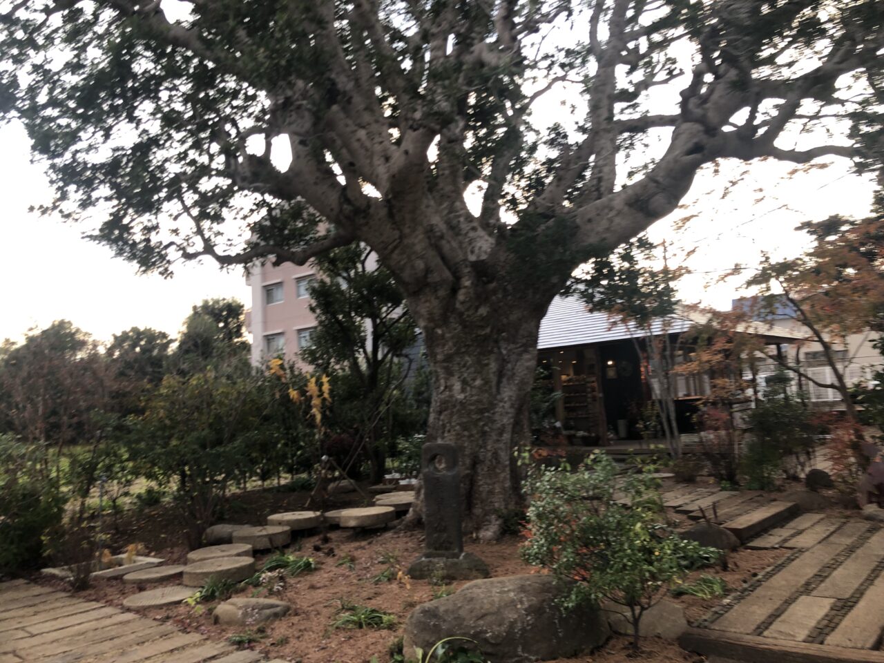 やまももマート