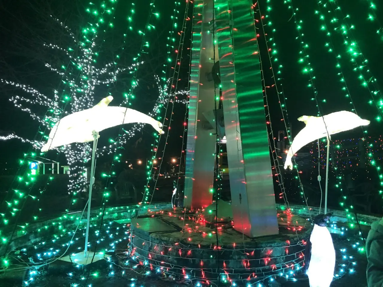 きらきらフェスタ