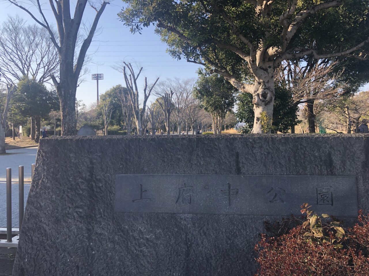 上府中公園