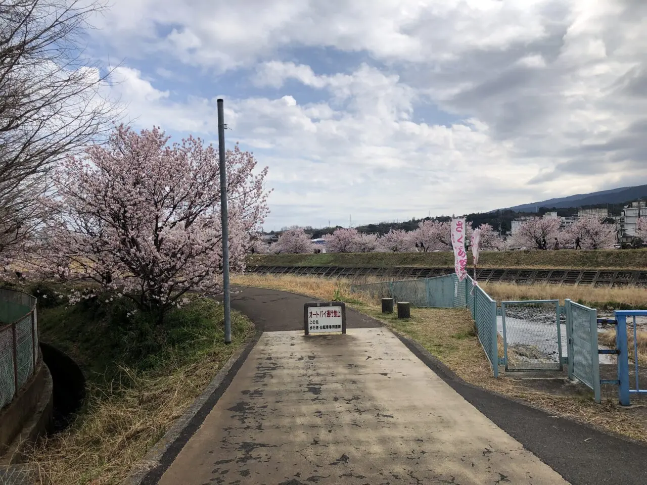 春木径・幸せ道