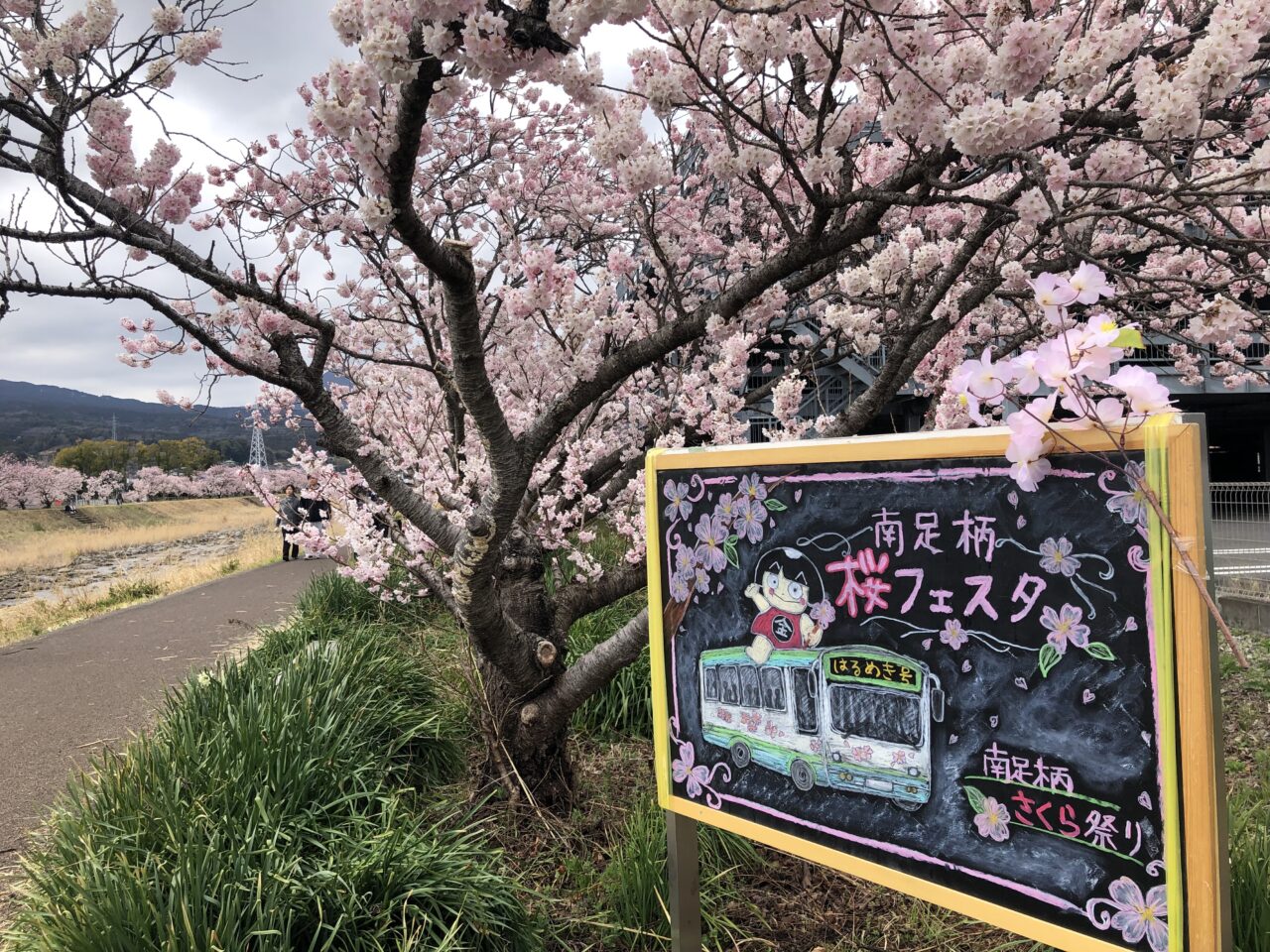 春木径・幸せ道