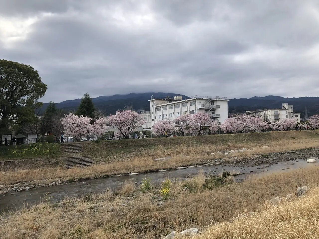 春木径・幸せ道