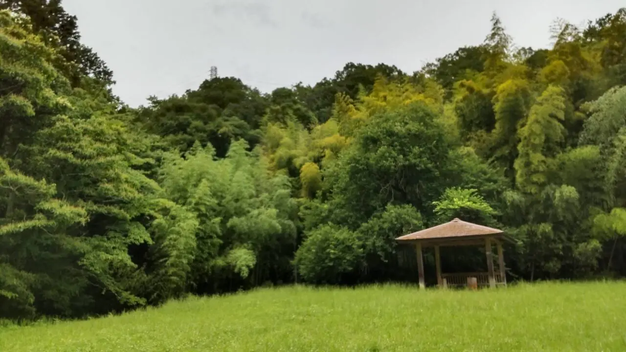 森と水の公園
