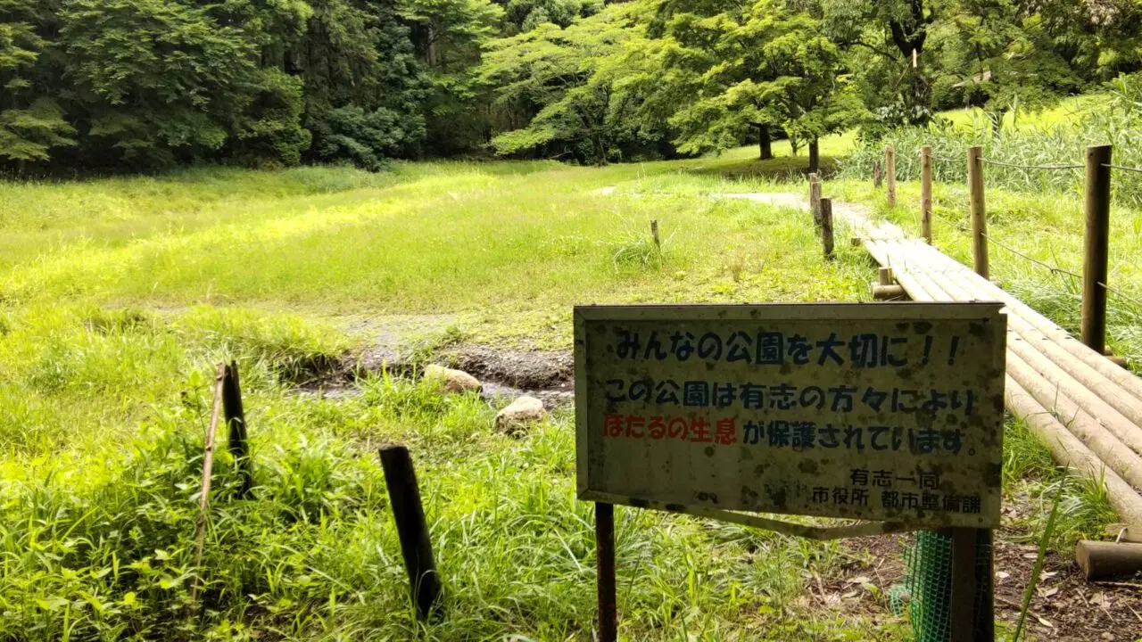 森と水の公園