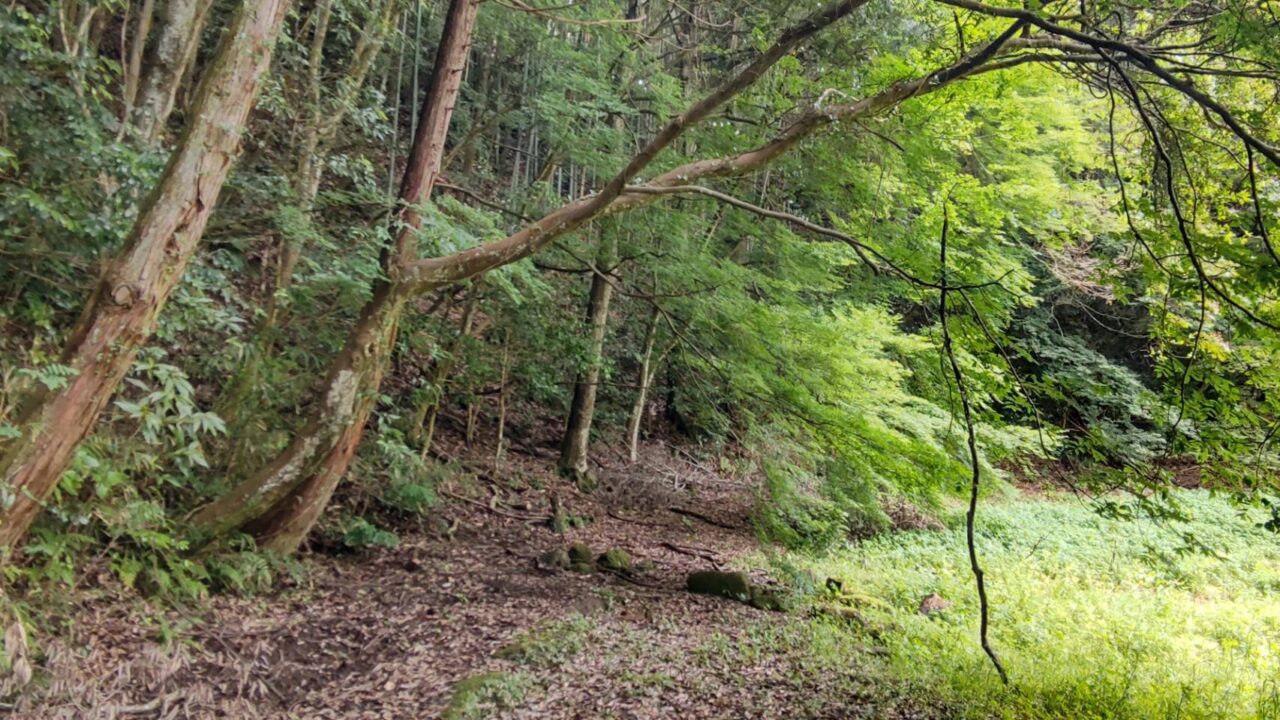 森と水の公園