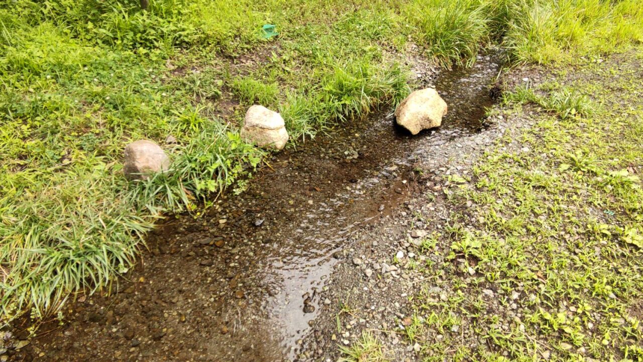 森と水の公園