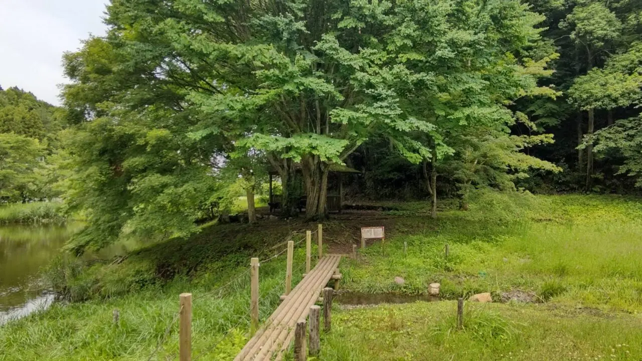 森と水の公園