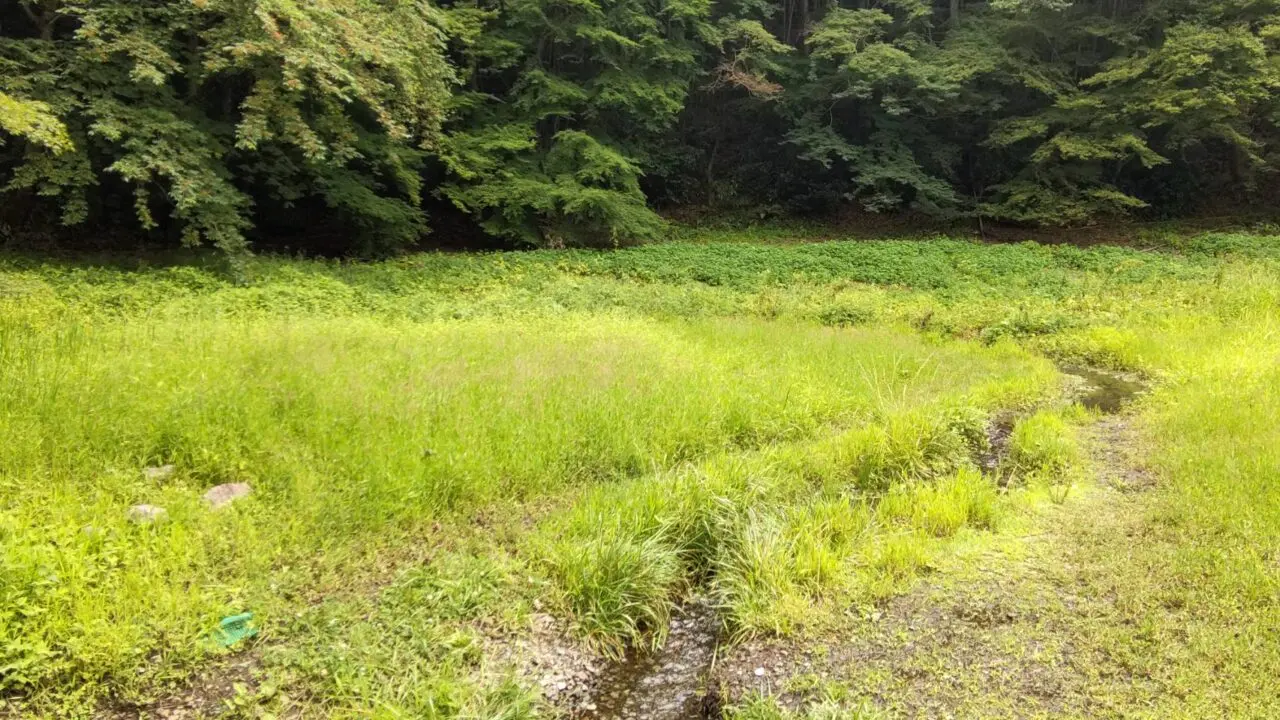 森と水の公園