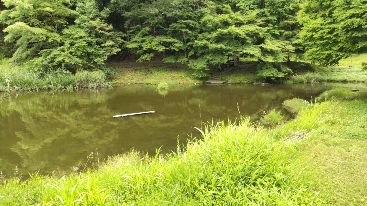 森と水の公園