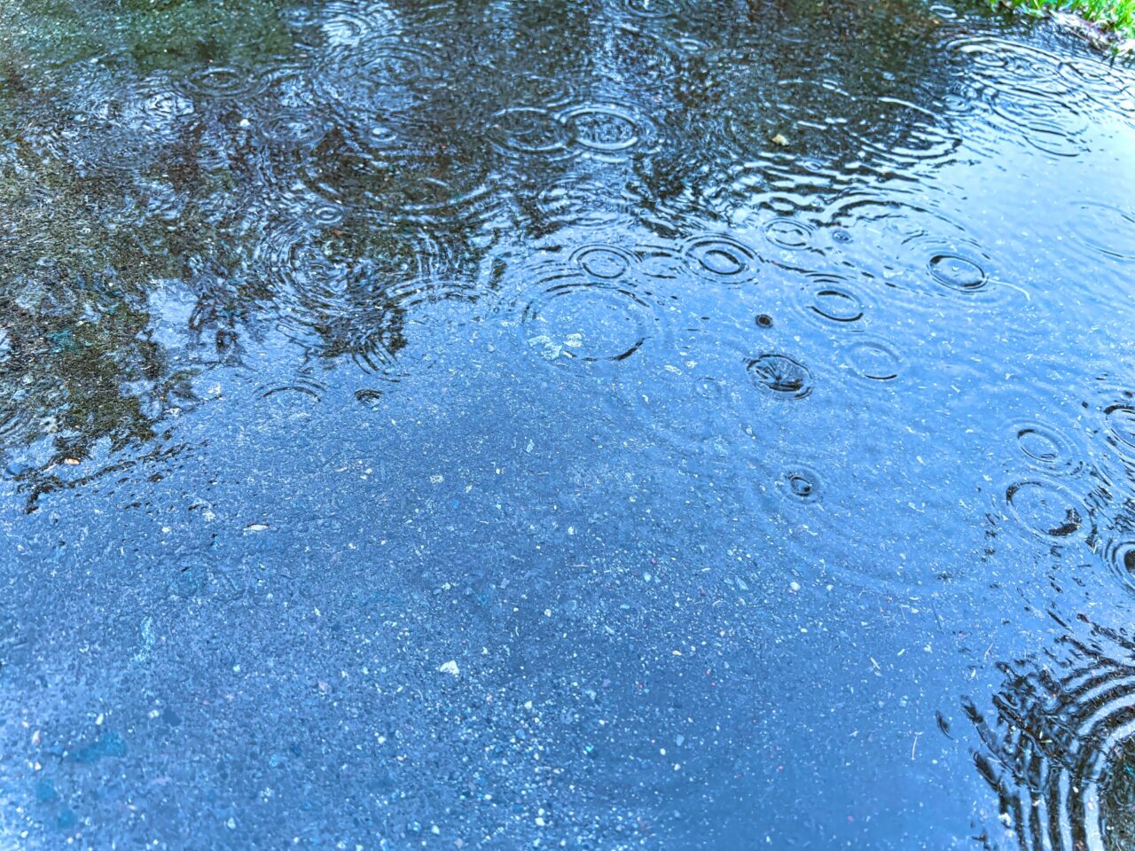 雨