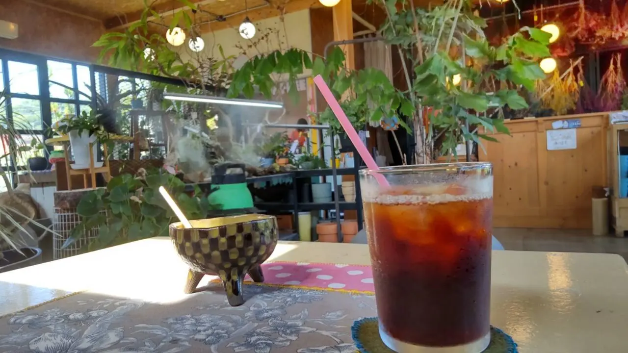 SUNROOM/UTOPIA COFFEE