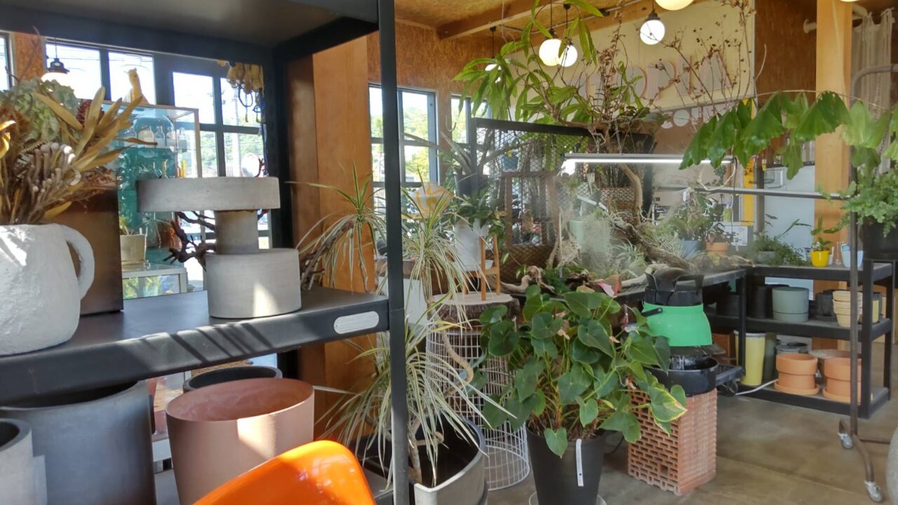 SUNROOM/UTOPIA COFFEE
