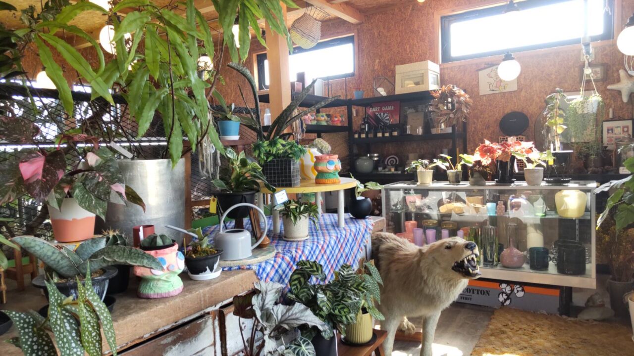 SUNROOM/UTOPIA COFFEE