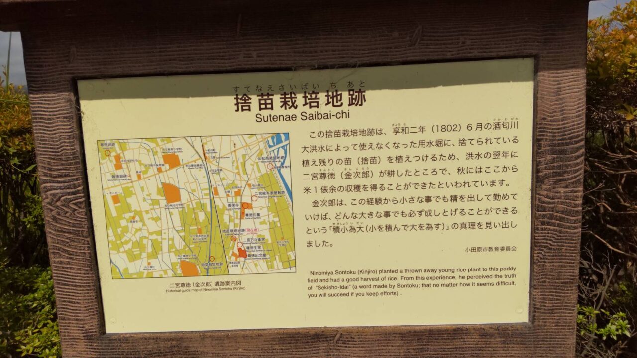 捨苗栽培地跡