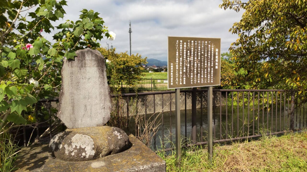 油菜栽培地跡