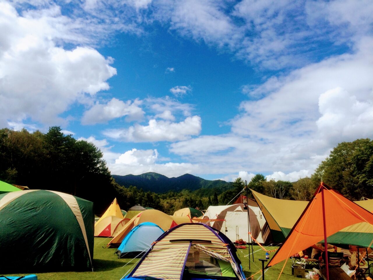 フェス