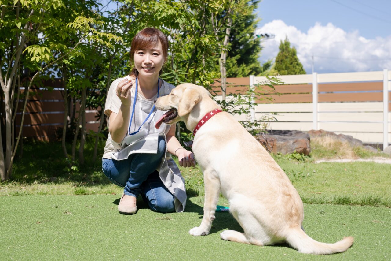犬